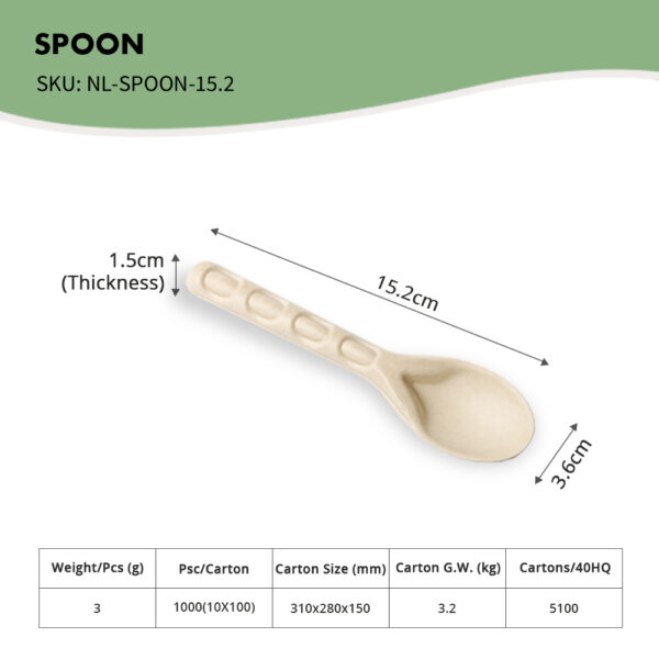 Spoon, 15.2cm