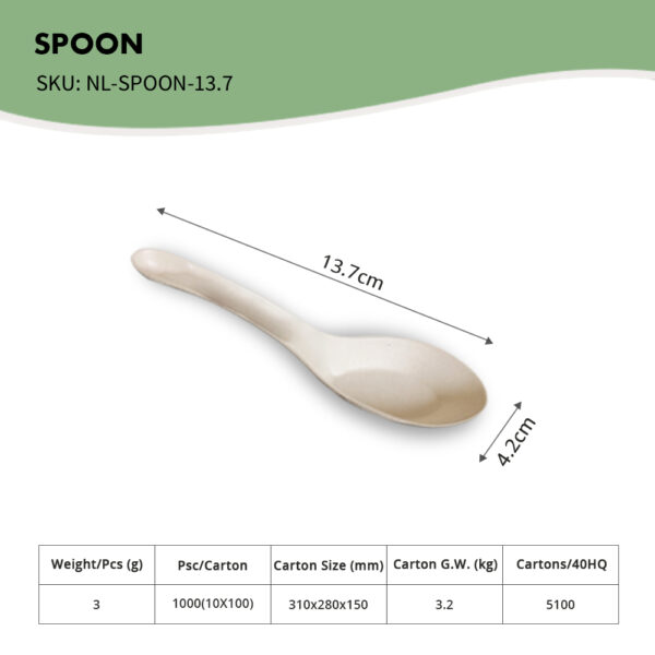 Spoon, 13.7cm